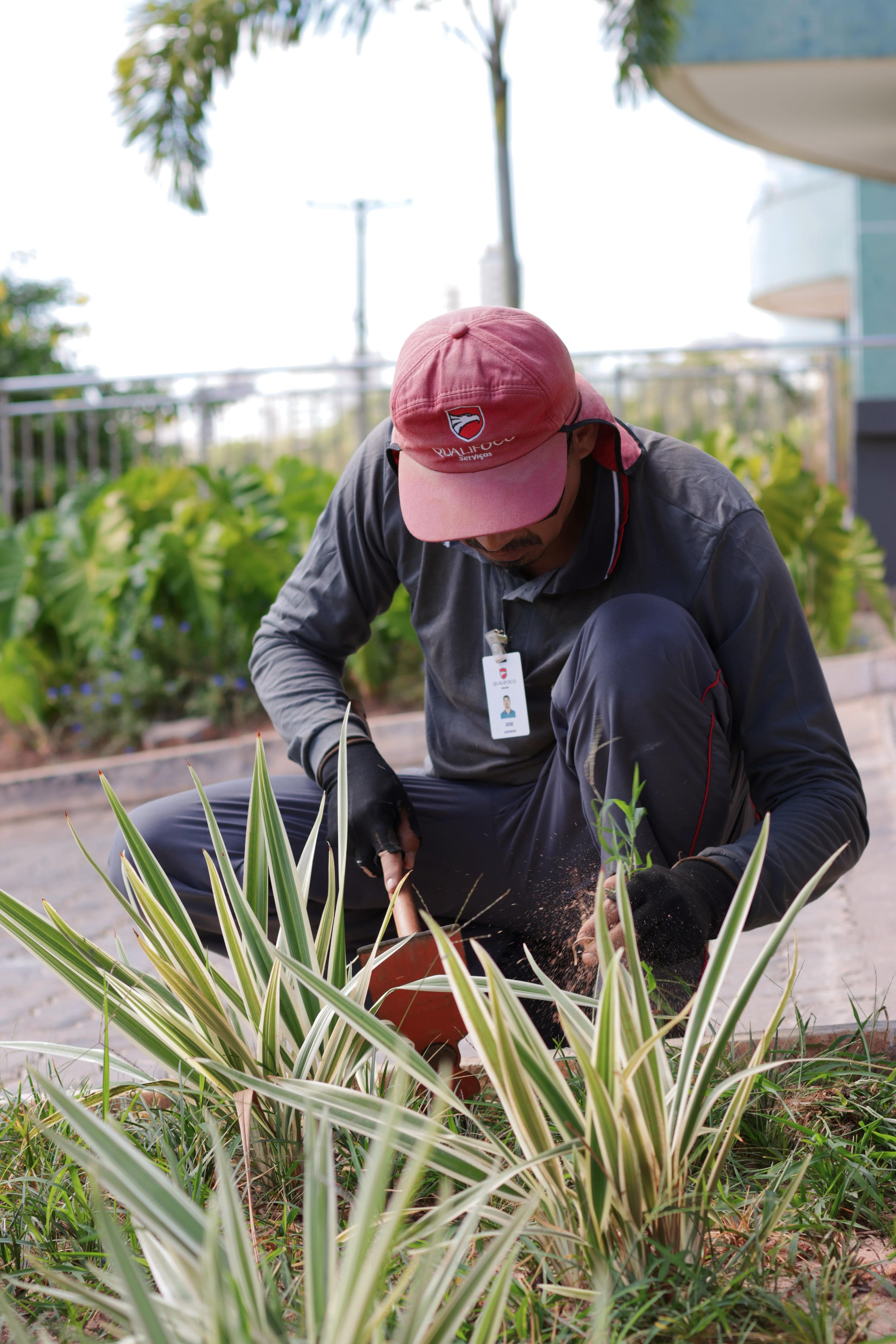 Serviços de Jardinagem para Empresas e Condomínios